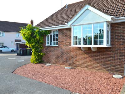 Picture 19
